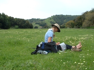john muir walk
