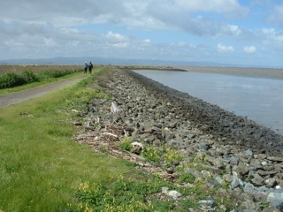 John Muir Walk