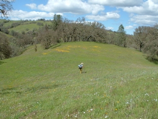 john muir walk